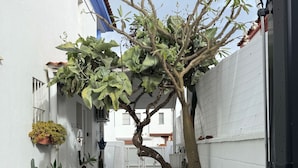 Room, 1 Bedroom, Smoking, Patio | Living room - Room-apartment's Independent Golum (Mairena del Aljarafe)