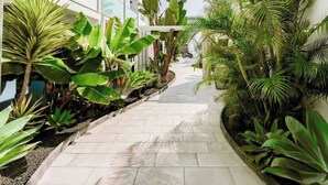 A narrow pathway flanked by lush tropical plants and a white building with multiple windows. - Luminoso Bilocale Vicino Al Mare (La Oliva)
