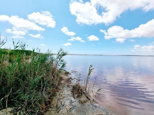 Charming House With Nature