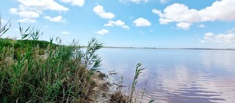 자연과 함께하는 매력적인 집