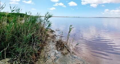 Charming House With Nature