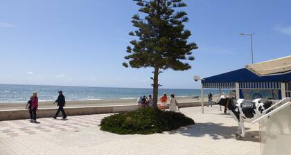 1 Bedroom Penthouse On Front Line Of The Beach