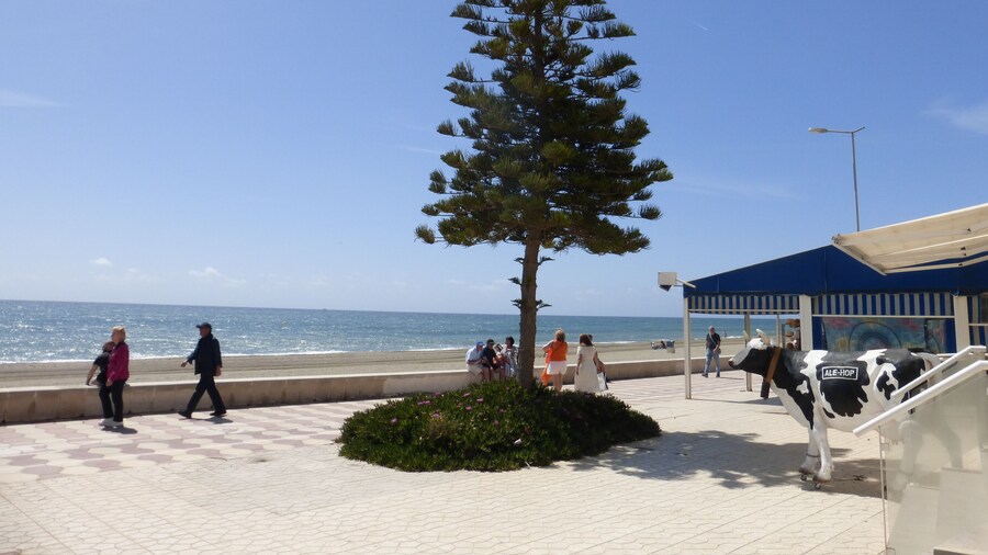 1 Bedroom Penthouse On Front Line Of The Beach