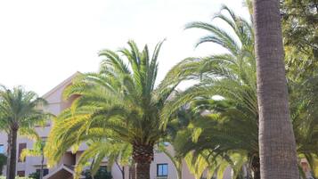 Apartment, 2 Bedrooms, Accessible, Terrace | Exterior