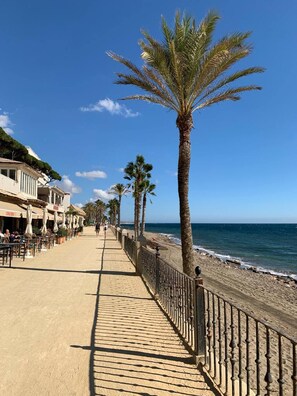 Apartment, 2 Bedrooms, Accessible, Terrace | Beach