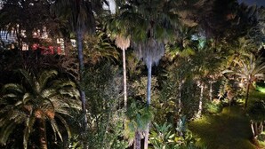 Ein Hotel bei Nacht mit Pool, umgeben von Palmen und üppiger Vegetation.