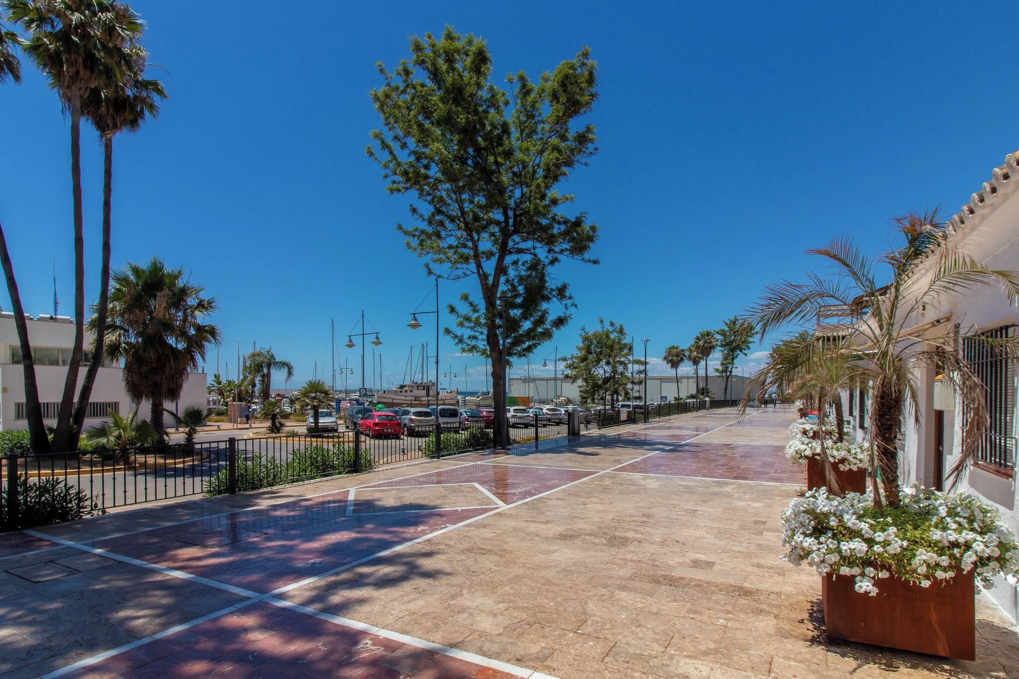 A paved walkway with a clear blue sky, palm trees, and parked cars.