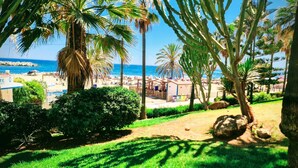 A beach view with palm trees, a pool, and a beachside building. - Room in Guest Room - Private Room With Beautiful sea View (Marbella)