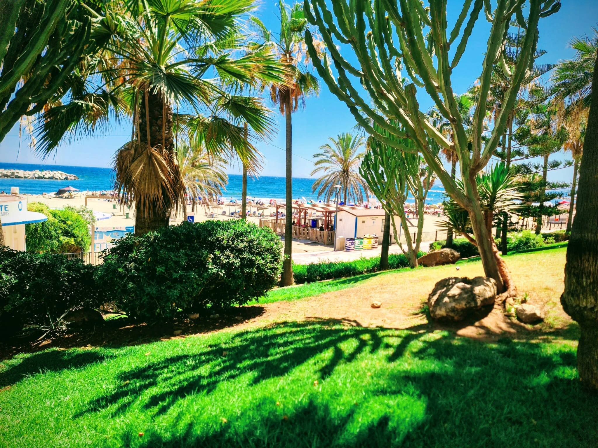 A beach view with palm trees, a pool, and a beachside building.