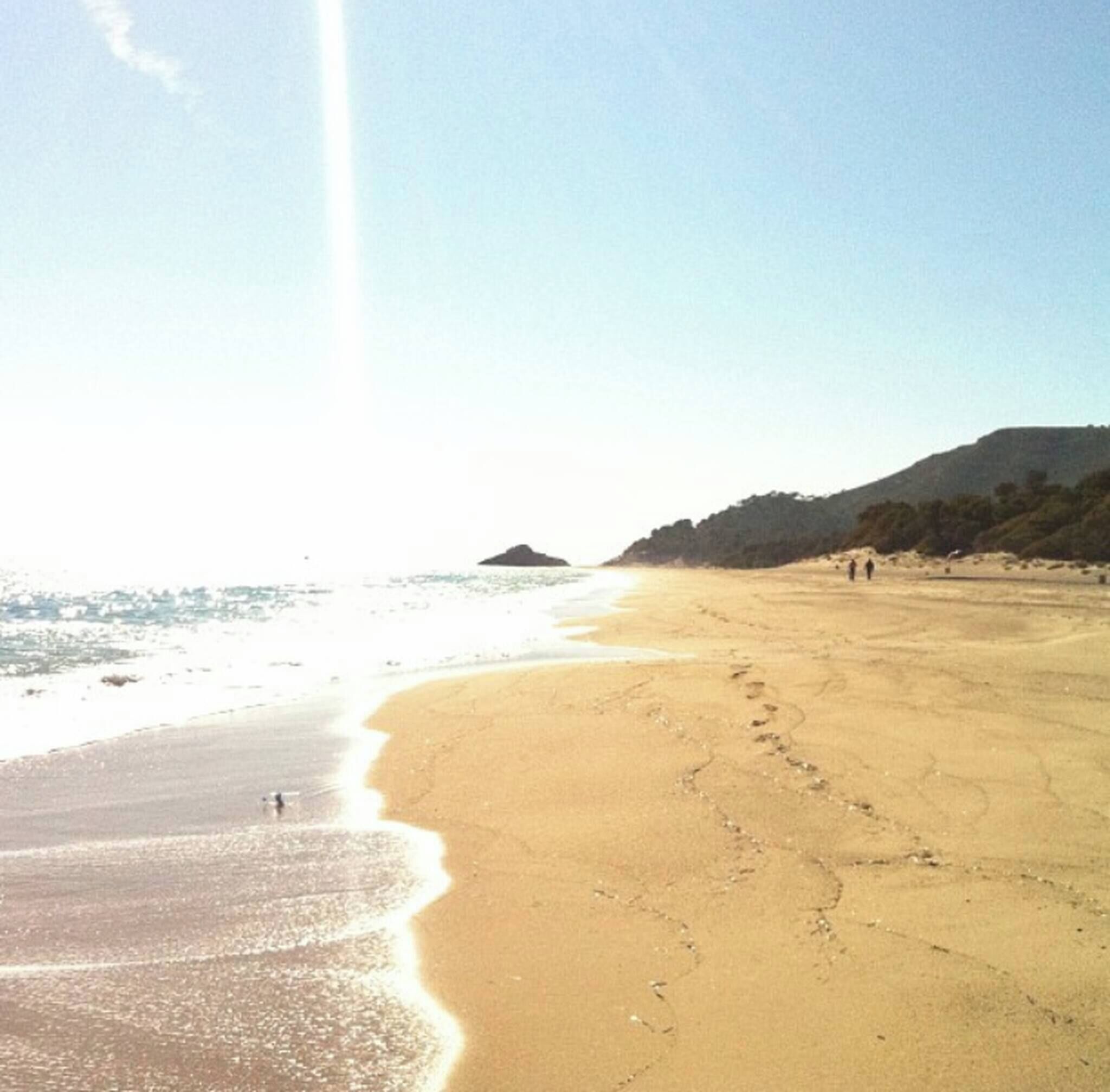 Strand