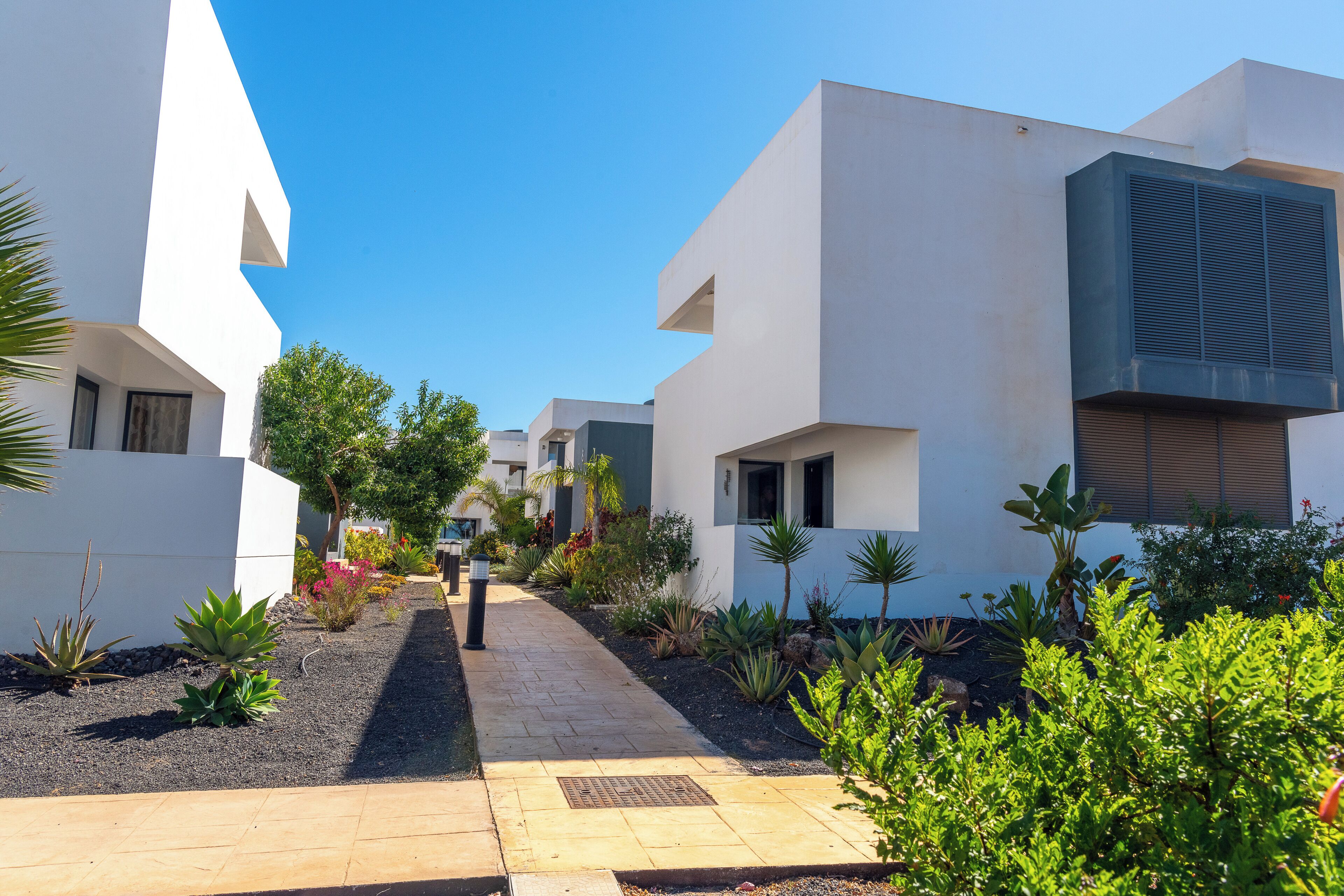 Apartamento, 1 habitación, terraza, vistas al jardín | Jardines del alojamiento