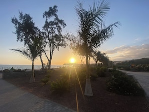 Vista del atardecer con árboles y un sendero.
