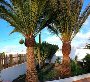 Villa, 5 Bedrooms, Accessible, Smoking | Garden - Villa Vista Mar, 360 Sqm, Heated Pool, Whirlpool, Gaming Room, 85 sqm Roof top (Tías)