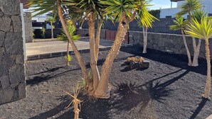 A courtyard with palm trees, a stone wall, and a paved area. - Villa Georgiana Spacious Quiet 4 Bed Property With Private Pool Sleeps 8 (Yaiza)