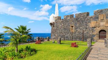 Apartment, 2 Bedrooms, Smoking, Balcony | Garden