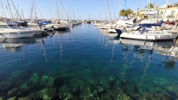 Apartment, 1 Bedroom, Smoking, Terrace | Marina