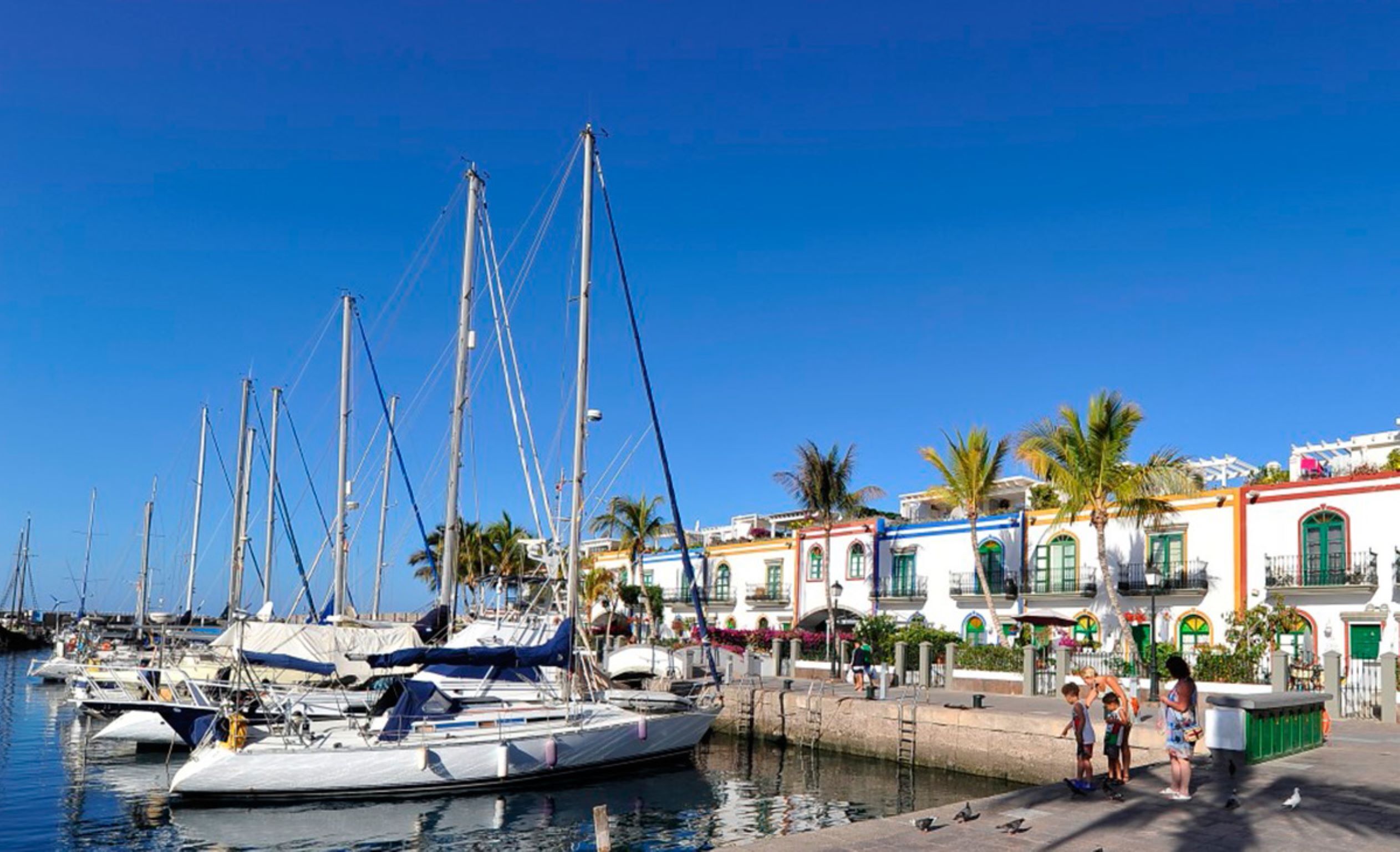 Apartment, 1 Bedroom, Accessible | Marina
