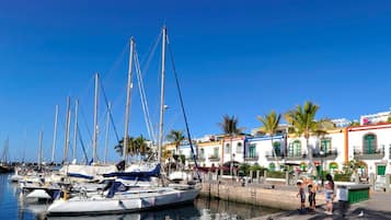 Apartment, 1 Bedroom, Accessible | Marina