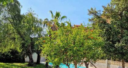 House With Exclusive Pool and Garden 7 min Walk From the Beach and the Center