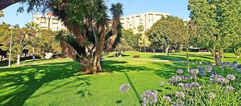 City Loft Santa Cruz