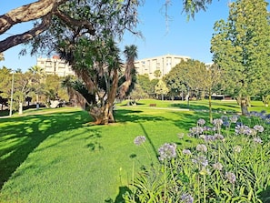 Apartment, 2 Bedrooms, Balcony, City View | Property grounds