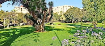 City Loft Santa Cruz