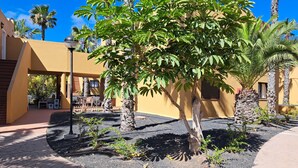 Apartment, 1 Bedroom, Accessible, Smoking | Property grounds - Casa Manba, Terrace, Pool and Wifi (La Oliva)