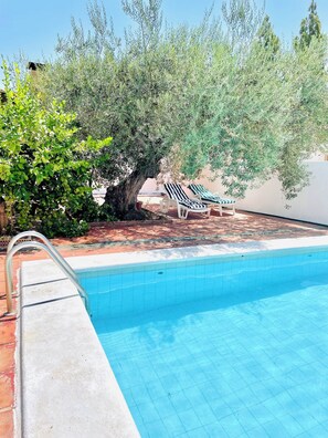 A swimming pool with a tiled edge, two lounge chairs, and a tree. - Welcome to Paradise - Bienvenidos al Paraiso (Coin)