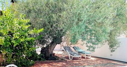 Welcome to Paradise - Bienvenidos al Paraiso