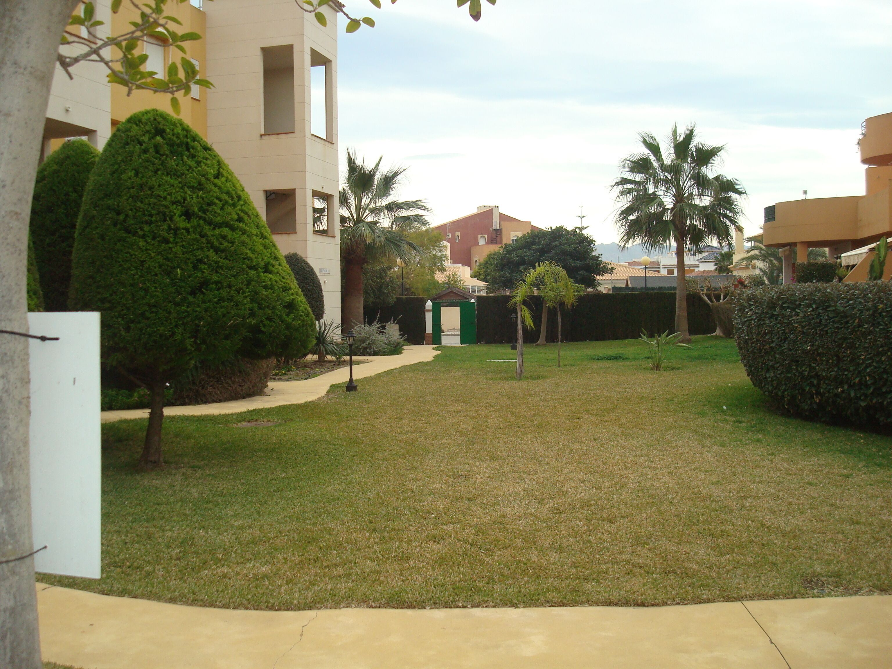 A courtyard with a lawn, palm trees, and a building with multiple windows and balconies.