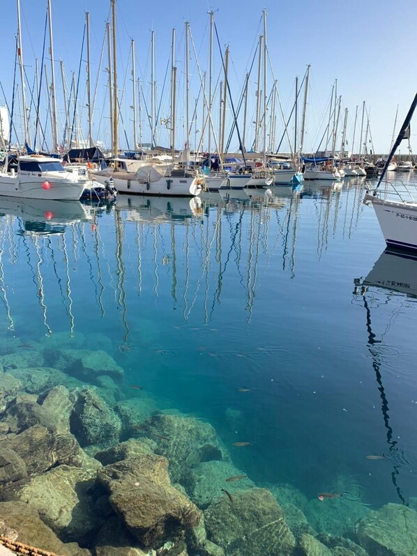 الإطلالة من المنشأة