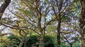 Nhà, 3 phòng ngủ, sân hiên, quang cảnh vườn | Khuôn viên nơi lưu trú