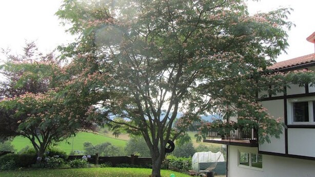 House, 3 Bedrooms, Garden View | Garden - Only 30 Kms From San Sebastian (Vera de Bidasoa)