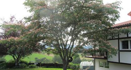 Only 30 Kms From San Sebastian