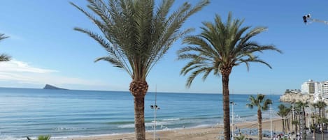 Apartment, 1 Bedroom, Accessible, Balcony | Beach | On the beach