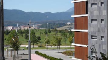 Apartment, 1 Bedroom, Terrace, City View | View from property