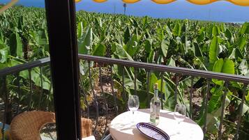 Apartament, 2 dormitoris, accessible, balcó | Servei de restauració a l'aire lliure