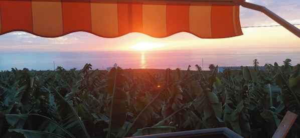 Vista desde la propiedad