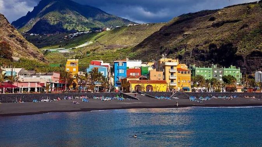 Caracol "trail Mountain La Palma" - Junto a Trébol