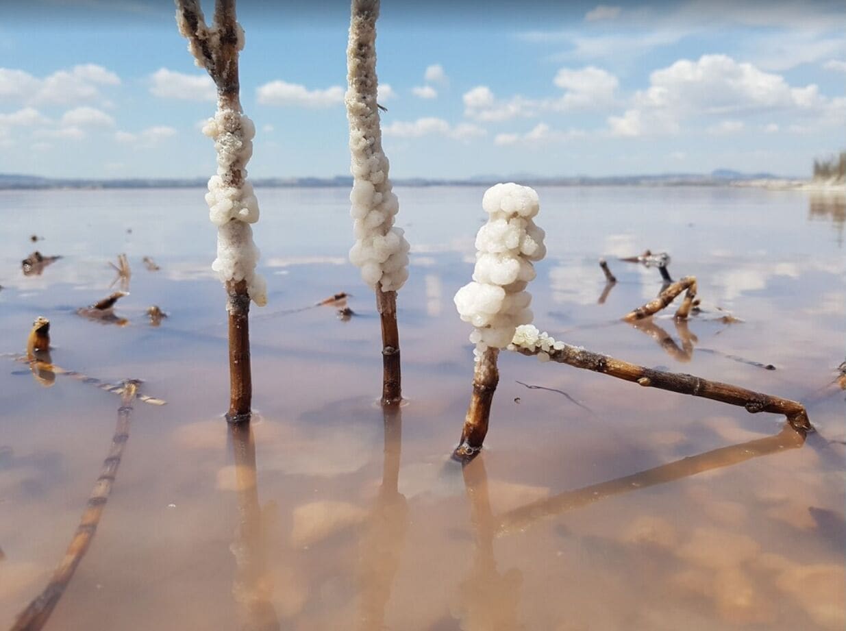 Apartamento, 2 habitaciones, fumadores, balcón | Exterior