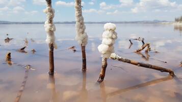 Apartamento, 2 habitaciones, fumadores, balcón | Exterior