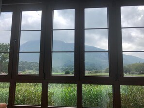 Talo, 5 makuuhuonetta, parveke, näköala puutarhaan | Näkymä majoituspaikasta