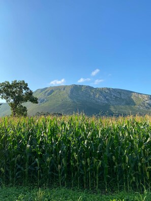 House, 5 Bedrooms, Balcony, Garden View | Exterior - La Casa de Xuncu, Llanes, Vacation Rental (Llanes)