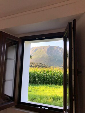 House, 5 Bedrooms, Balcony, Garden View | View from property - La Casa de Xuncu, Llanes, Vacation Rental (Llanes)