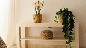 A shelf with two woven baskets, one containing flowers and the other with green foliage. - Casa Paca - Your Private Oasis in Lanzarote - Paradise by the Sea (Yaiza)