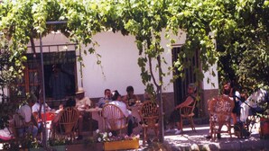 Ένα υπαίθριο καφέ  με καρέκλες και τραπέζια από μπαμπού, περιτριγυρισμένο από πράσινο και με ένα λευκό κτίριο στο βάθος.