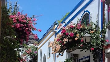 Διαμέρισμα, 2 Υπνοδωμάτια | Λεπτομέρεια εξωτερικού χώρου