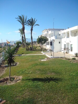 Property grounds - Impressive Apartment in Ground Floor With Terrace of two Rooms & Pool Num7301 (Vera)