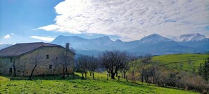 Apartment, 1 Bedroom, Smoking | Exterior - All In One Studio in Bérriz (Berriz)