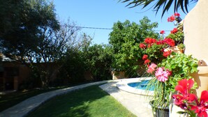 A swimming pool surrounded by a well-maintained lawn and potted plants. - Rural House With Private Pool, new and Beautiful Garden (Conil de la Frontera)